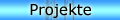 PROJEKTE